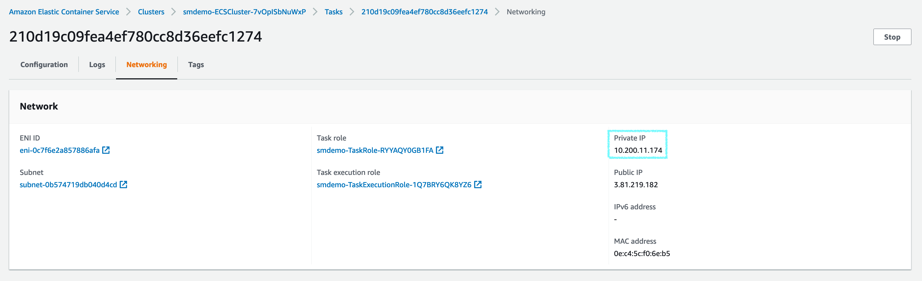 ecs-cluster-tasks-detailed-networking