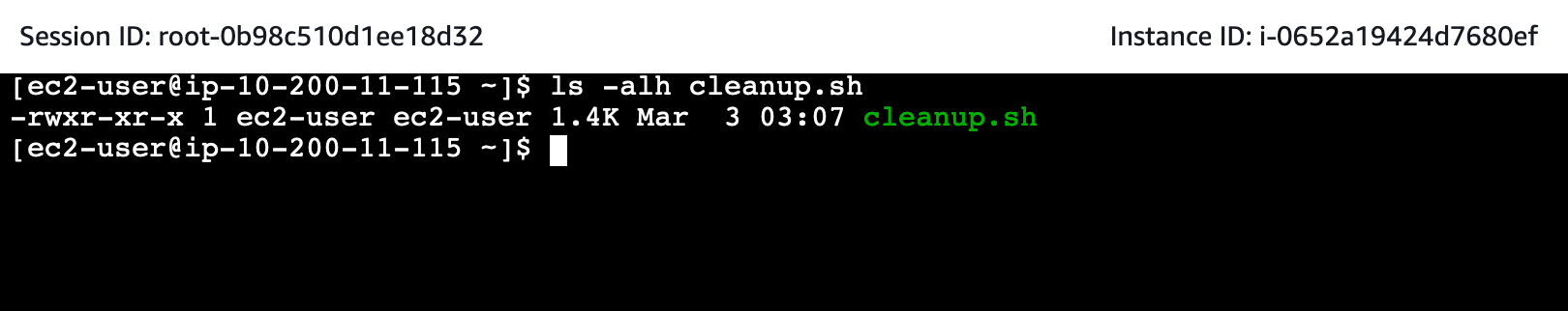 shell-cleanup